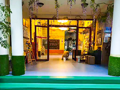 成都91视频色版下载与温江区伊顿慧智双语幼儿园合作案例